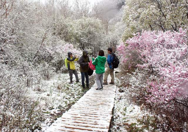 北京野蘑菇戶外俱樂部好嗎,蘑菇旅行怎么樣